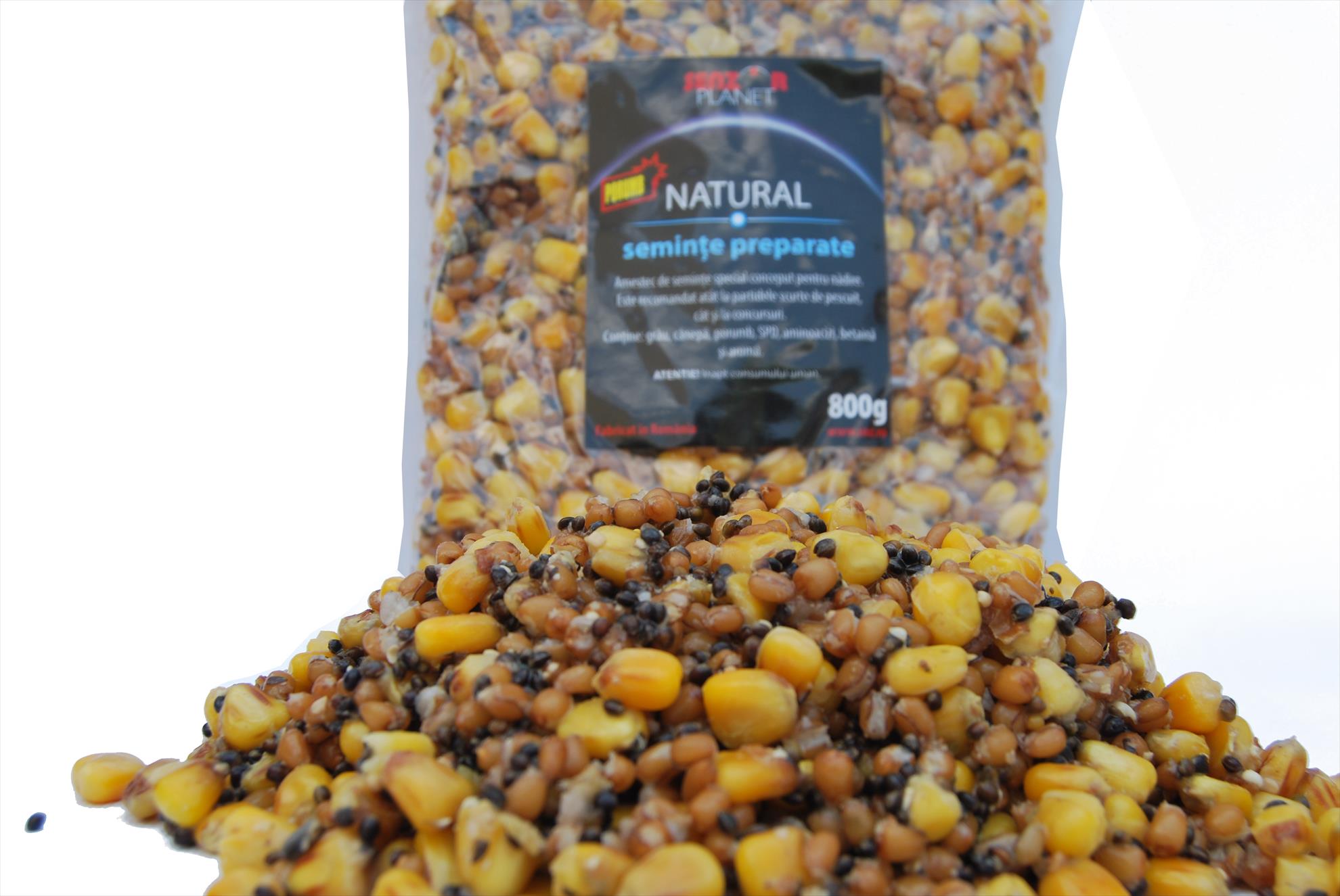 AUGUST 2013 - snz-105.jpg